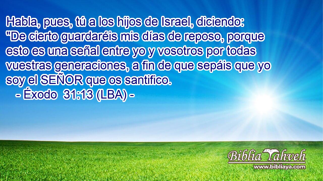 Habla, pues, tú a los hijos de Israel, diciendo: 
