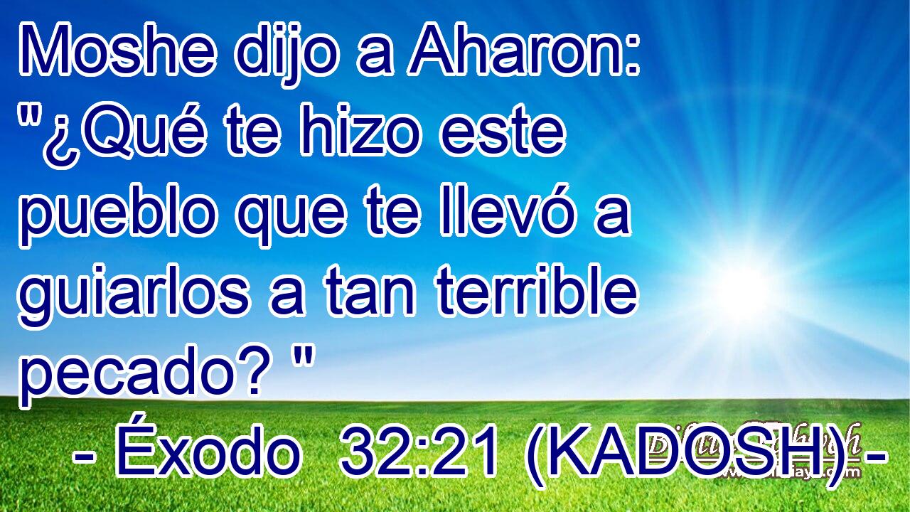  Moshe dijo a Aharon: 