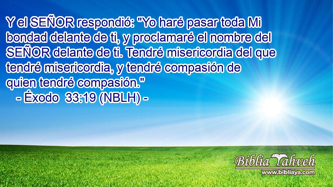  Y el SEÑOR respondió: 