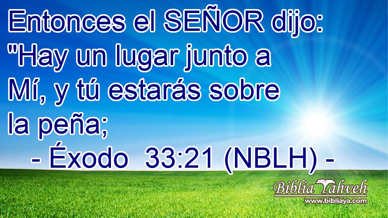  Entonces el SEÑOR dijo: 