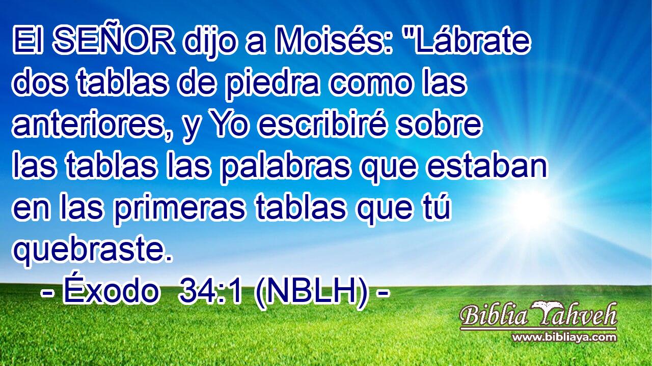  El SEÑOR dijo a Moisés: 