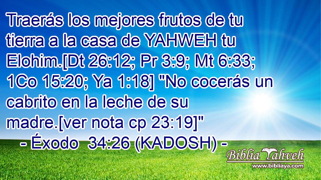  Traerás los mejores frutos de tu tierra a la casa de YAHWEH tu Elohim.[Dt 26:12; Pr 3:9; Mt 6:33; 1Co 15:20; Ya 1:18] 