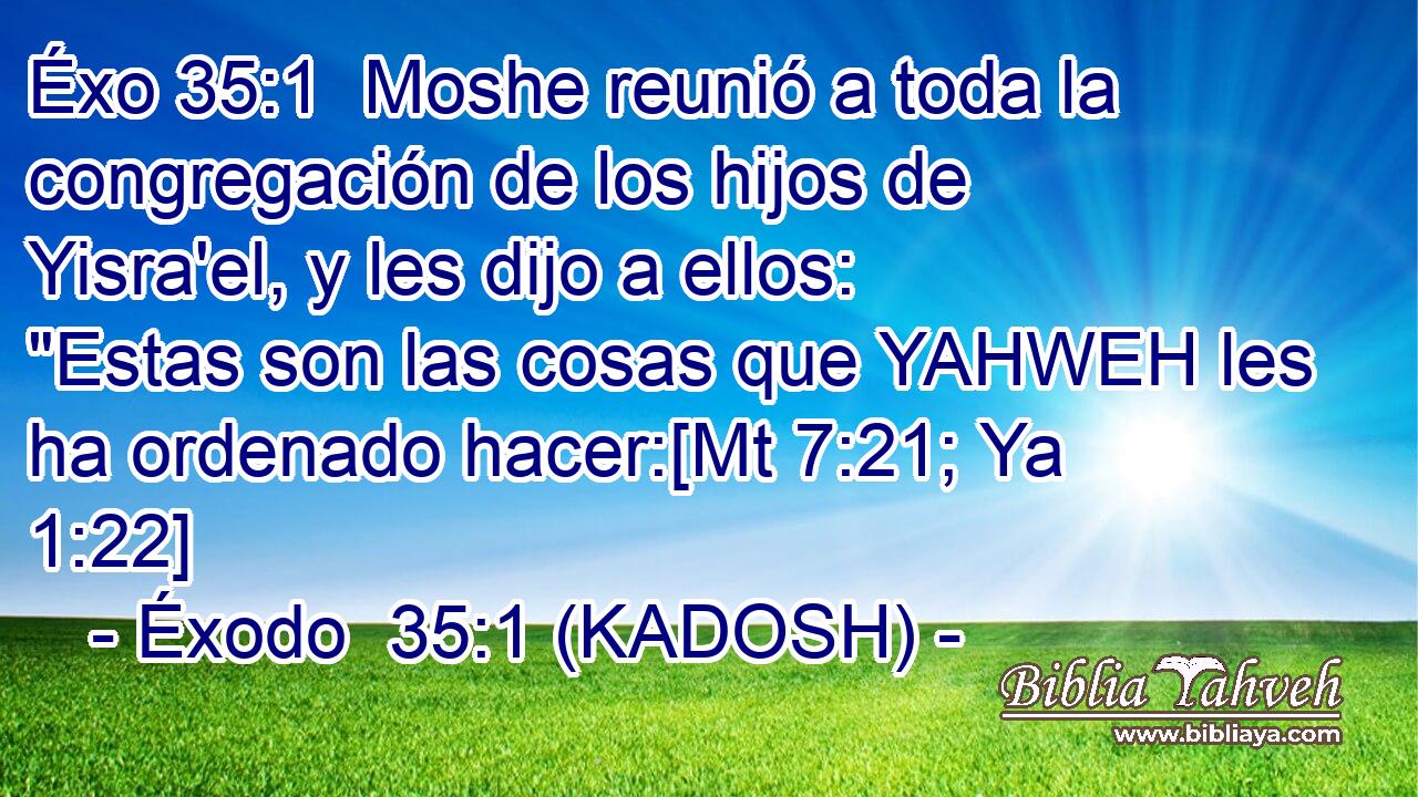  Moshe reunió a toda la congregación de los hijos de Yisra'el, y les dijo a ellos: 