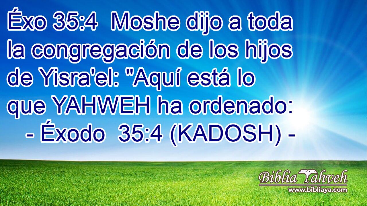  Moshe dijo a toda la congregación de los hijos de Yisra'el: 
