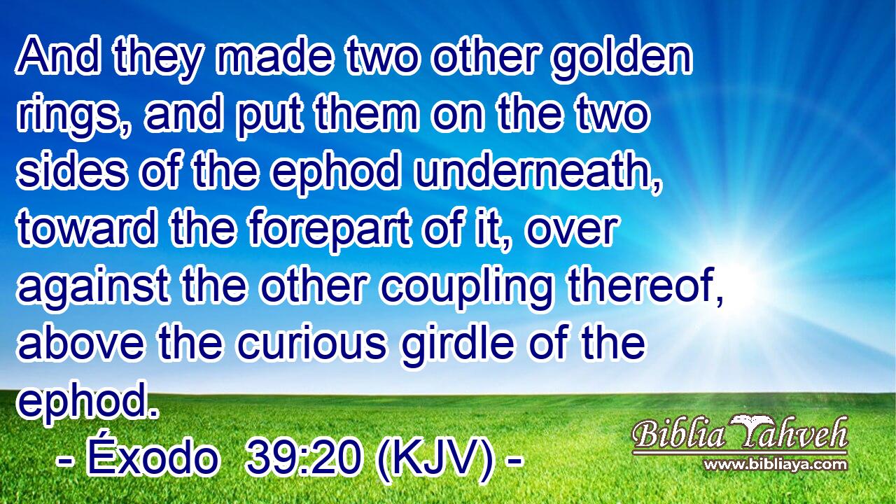 And they made two other golden rings, and put them on the two sides of the ephod underneath, toward the forepart of it, over against the other coupling thereof, above the curious girdle of the ephod.