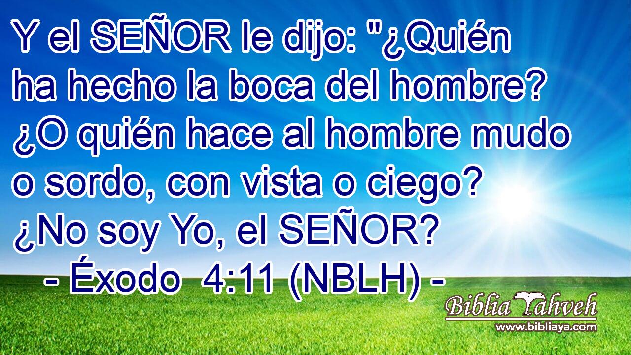  Y el SEÑOR le dijo: 