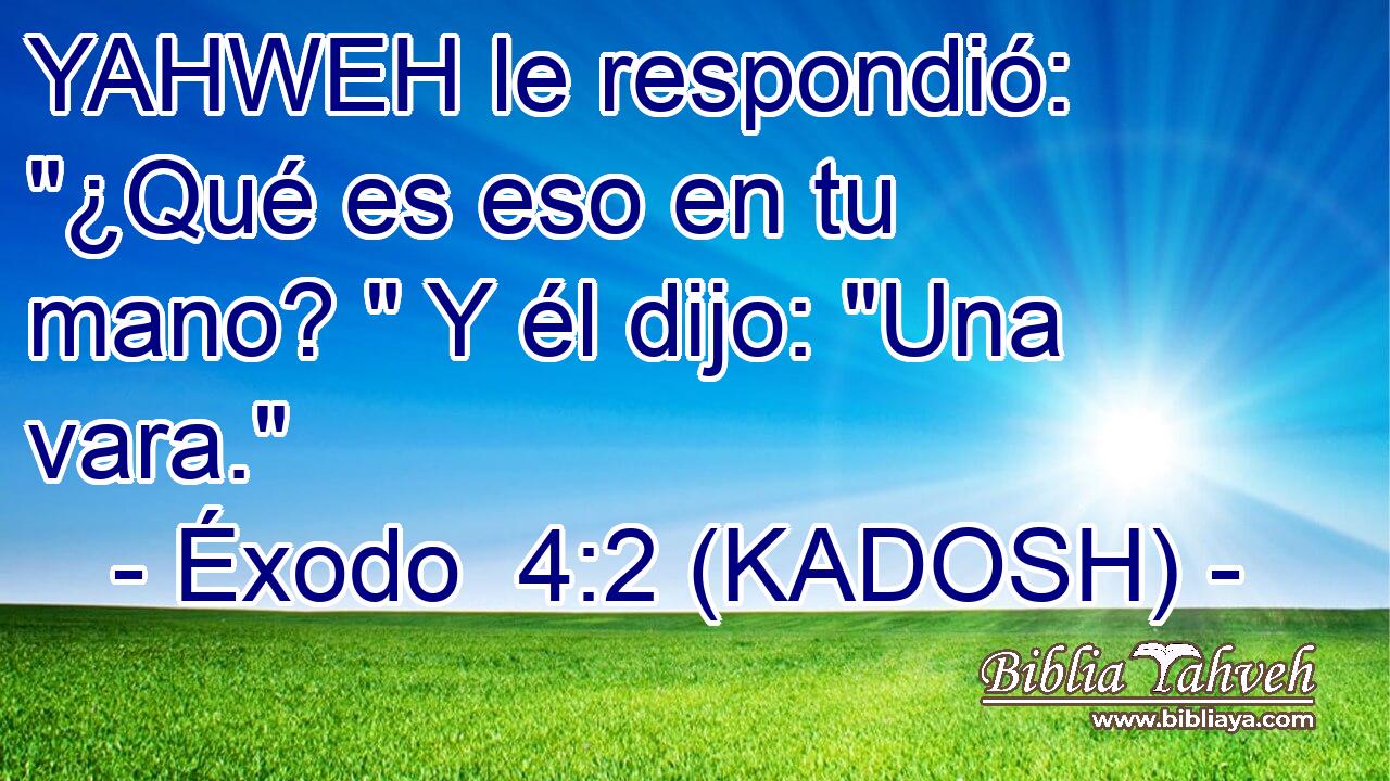  YAHWEH le respondió: 