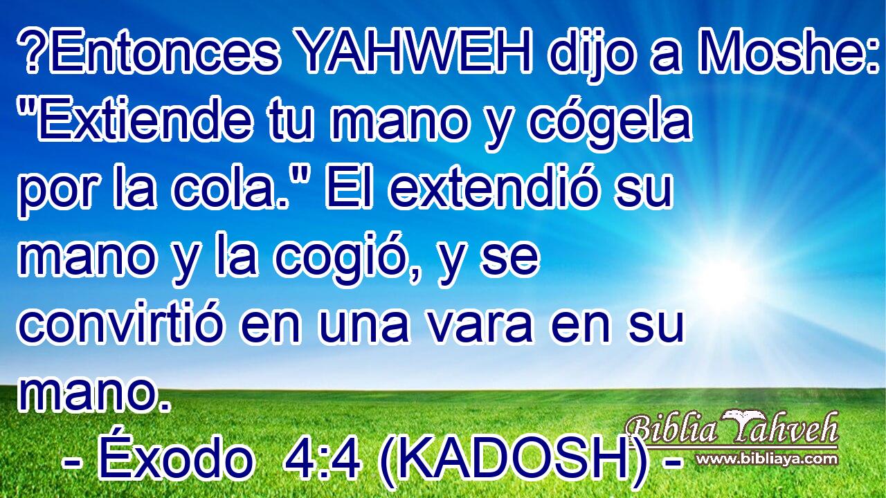  ?Entonces YAHWEH dijo a Moshe: 