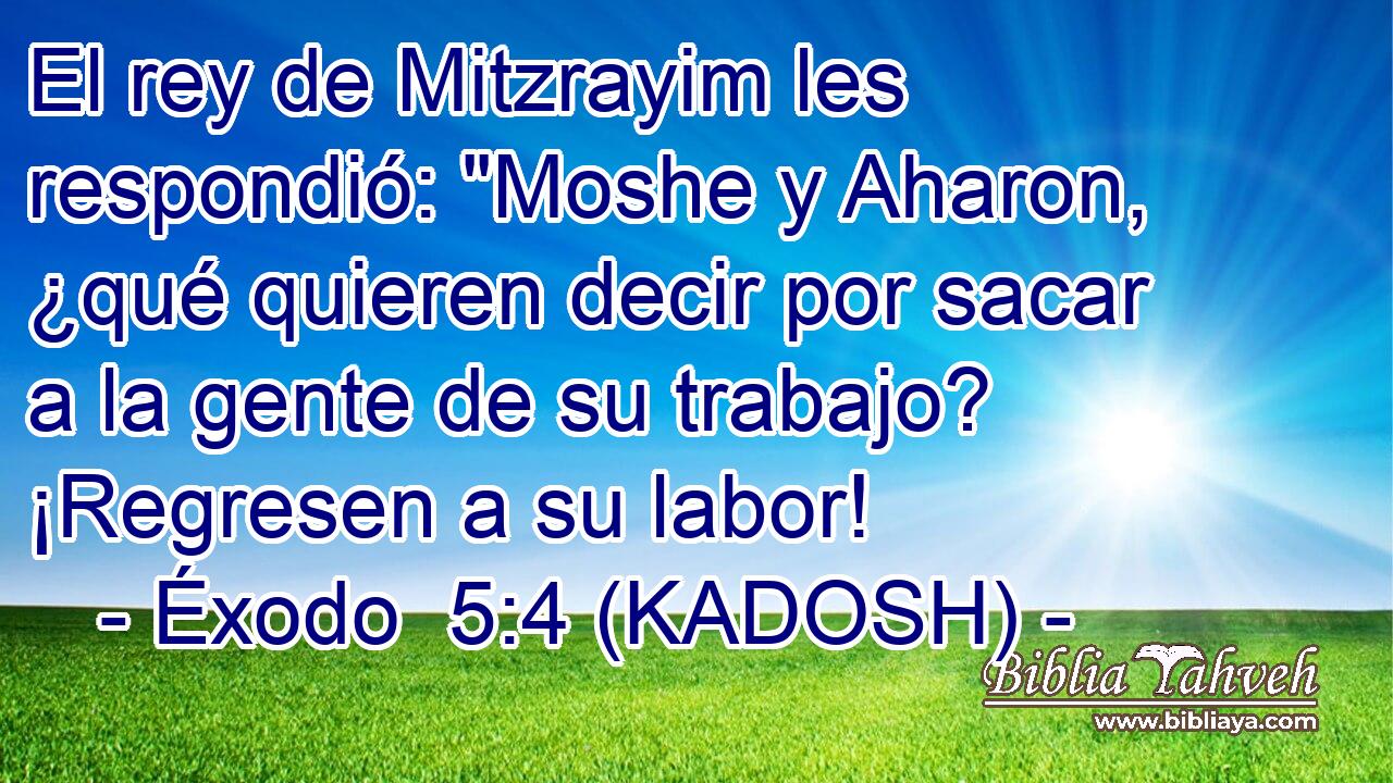  El rey de Mitzrayim les respondió: 