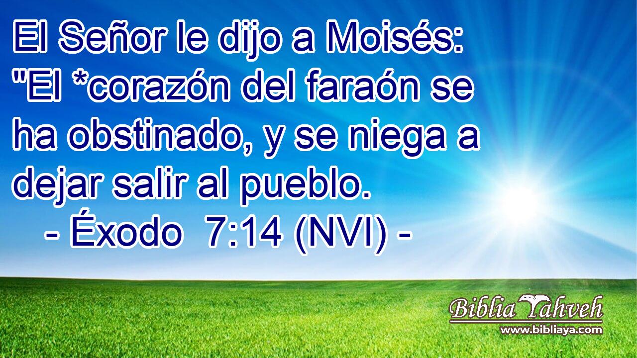  El Señor le dijo a Moisés: 