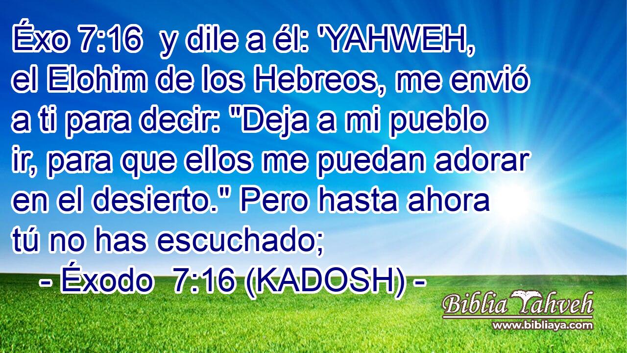  y dile a él: 'YAHWEH, el Elohim de los Hebreos, me envió a ti para decir: 