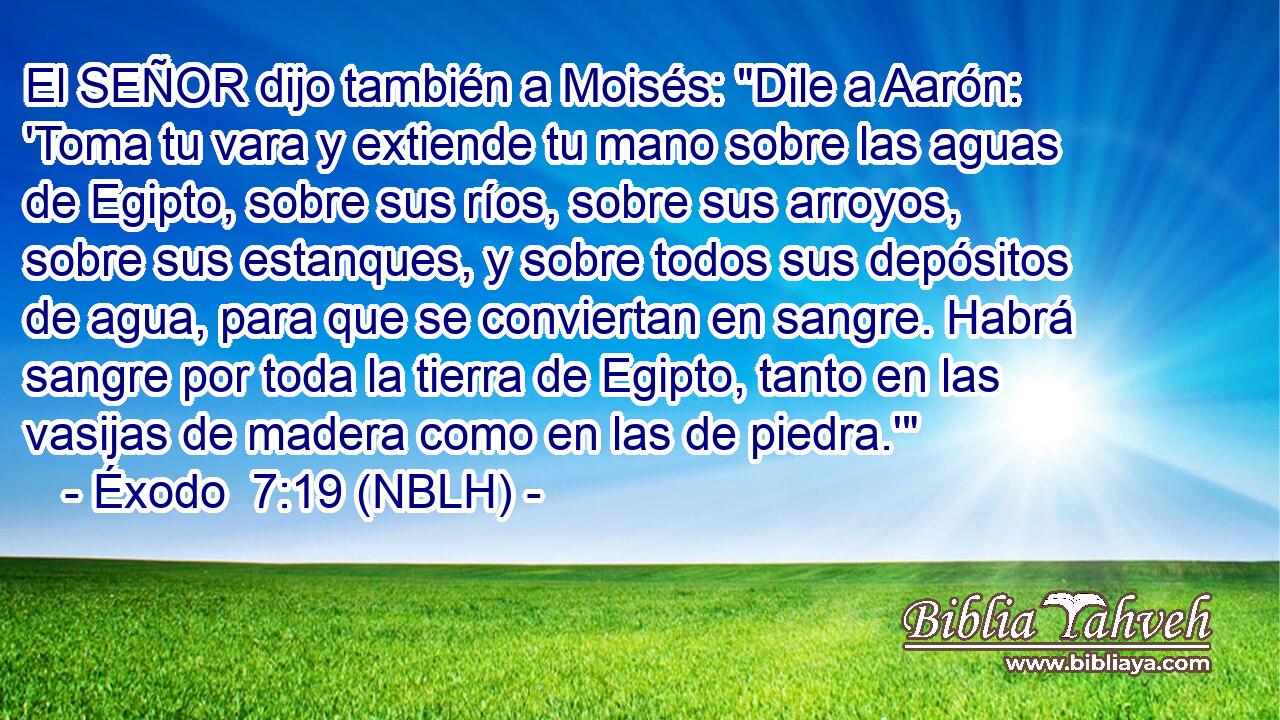  El SEÑOR dijo también a Moisés: 