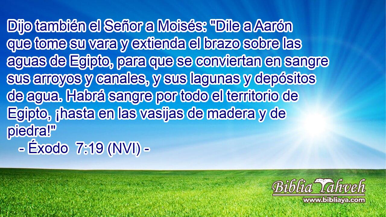  Dijo también el Señor a Moisés: 