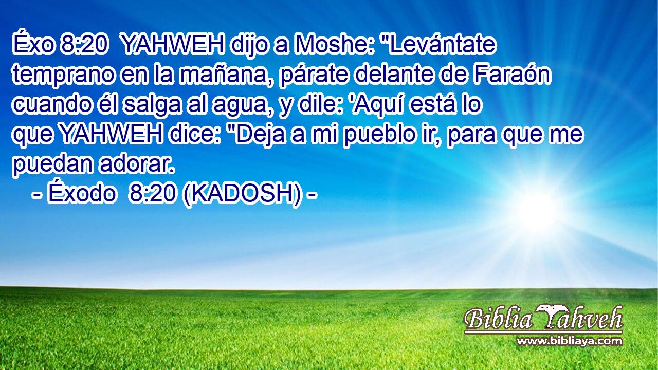  YAHWEH dijo a Moshe: 