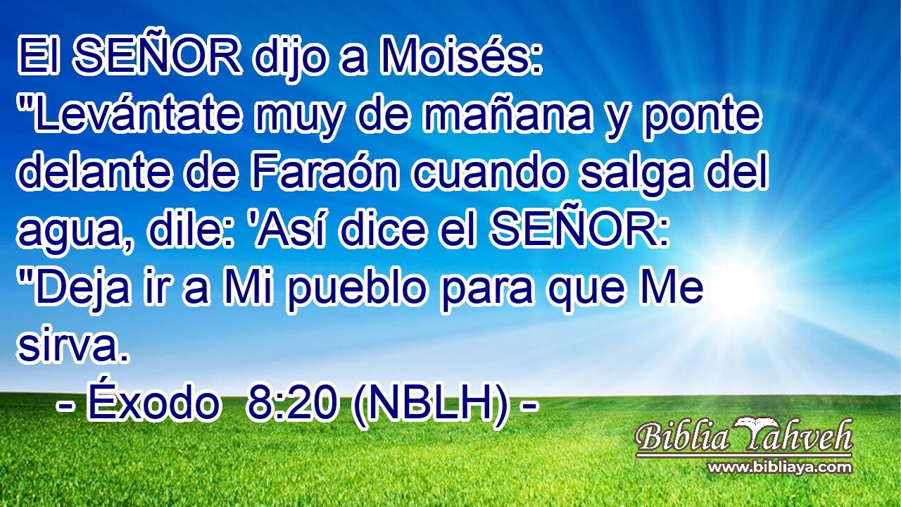  El SEÑOR dijo a Moisés: 