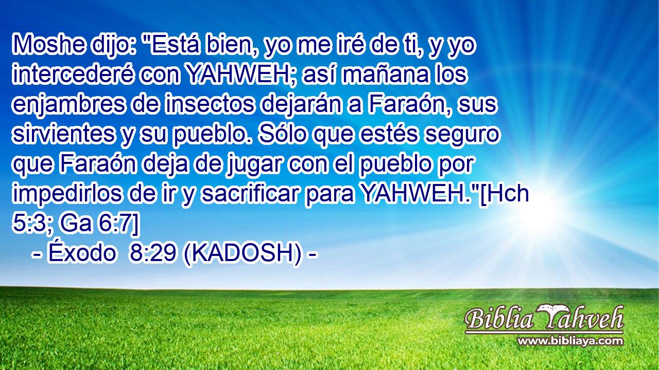  Moshe dijo: 