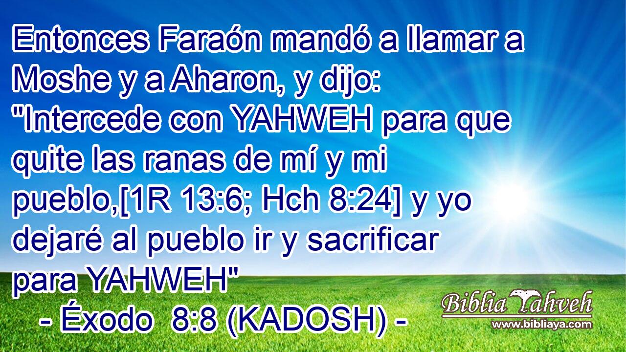  Entonces Faraón mandó a llamar a Moshe y a Aharon, y dijo: 