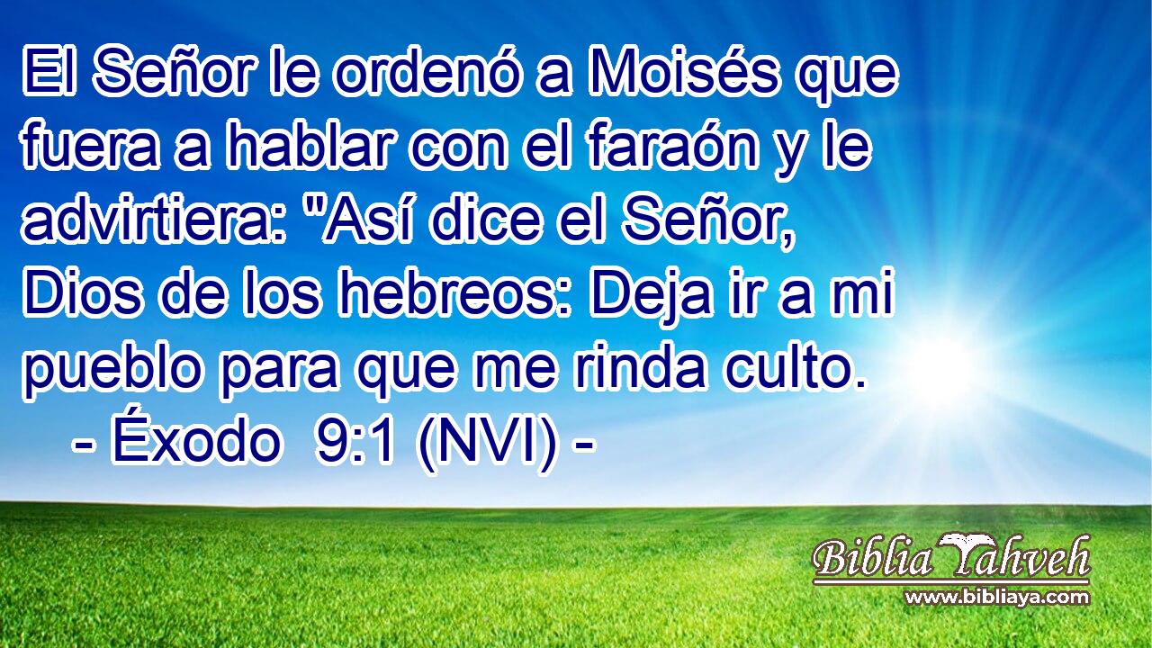  El Señor le ordenó a Moisés que fuera a hablar con el faraón y le advirtiera: 