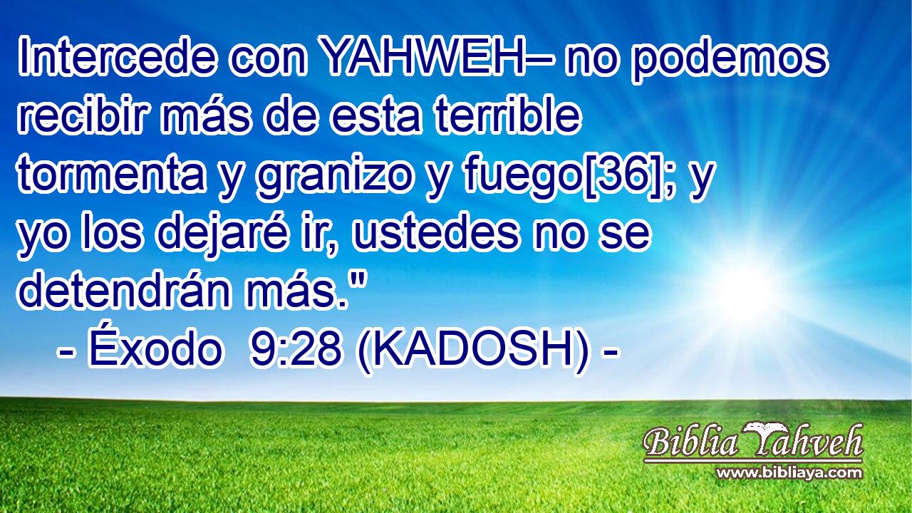  Intercede con YAHWEH– no podemos recibir más de esta terrible tormenta y granizo y fuego[36]; y yo los dejaré ir, ustedes no se detendrán más.