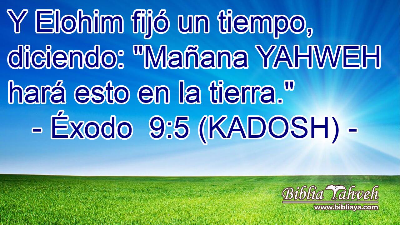  Y Elohim fijó un tiempo, diciendo: 
