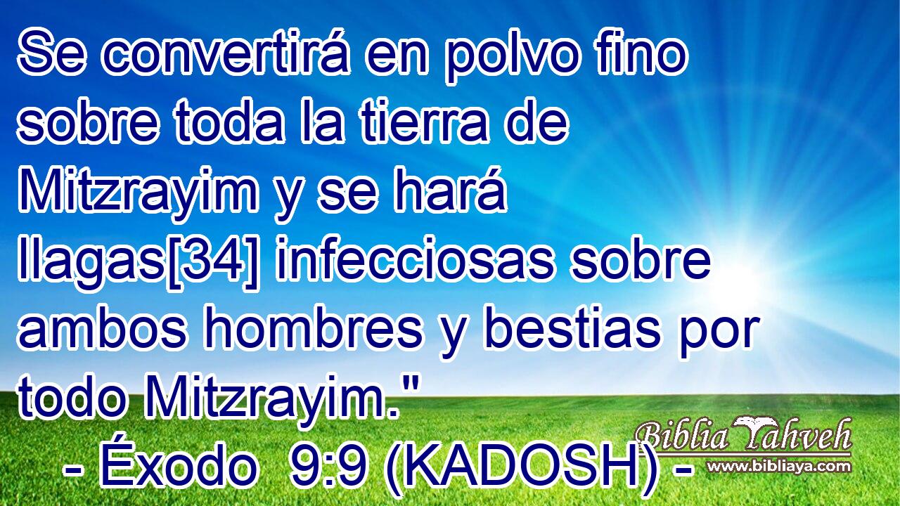  Se convertirá en polvo fino sobre toda la tierra de Mitzrayim y se hará llagas[34] infecciosas sobre ambos hombres y bestias por todo Mitzrayim.