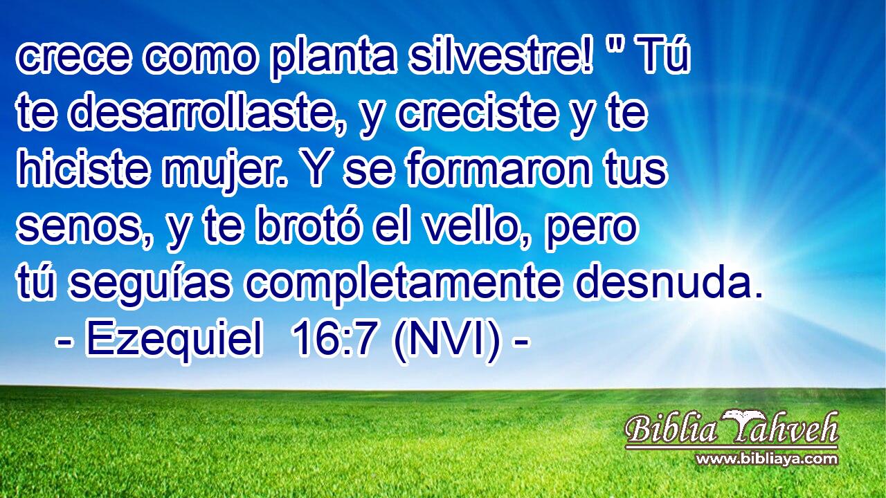  crece como planta silvestre! 
