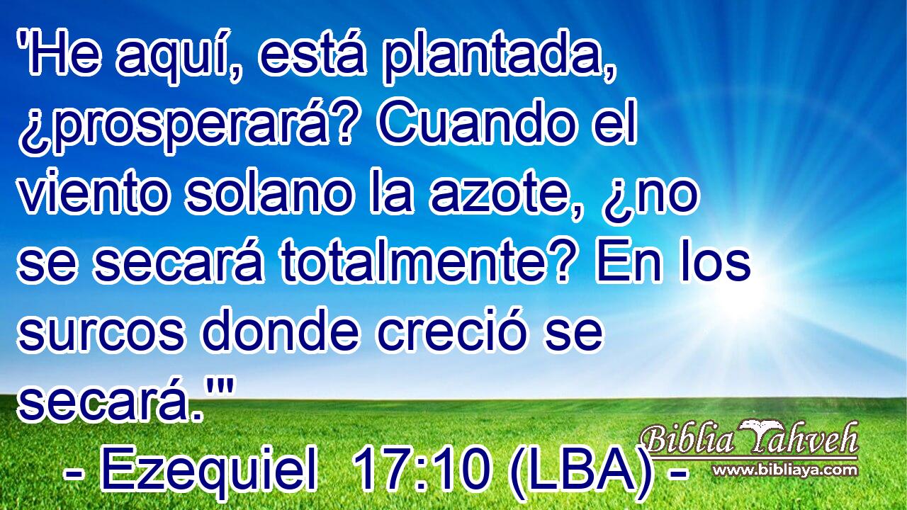 'He aquí, está plantada, ¿prosperará? Cuando el viento solano la azote, ¿no se secará totalmente? En los surcos donde creció se secará.'