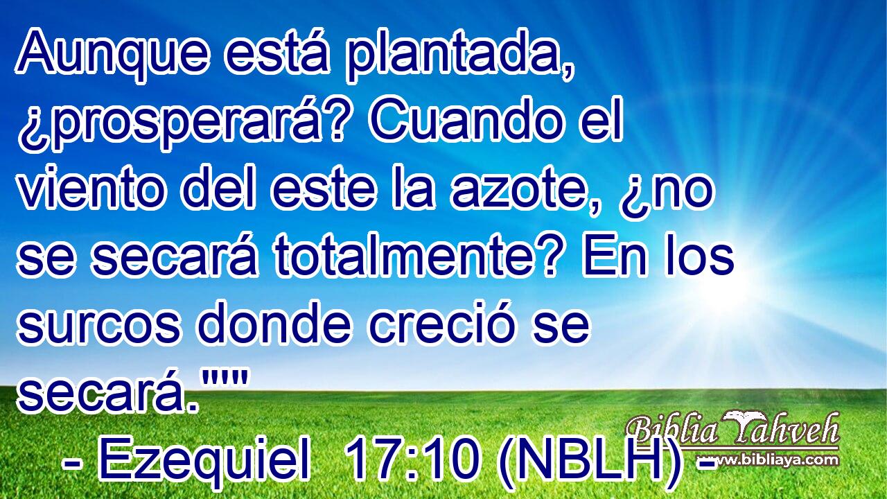  Aunque está plantada, ¿prosperará? Cuando el viento del este la azote, ¿no se secará totalmente? En los surcos donde creció se secará.