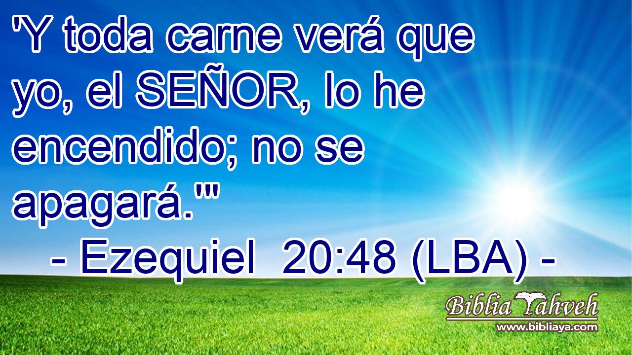 'Y toda carne verá que yo, el SEÑOR, lo he encendido; no se apagará.'