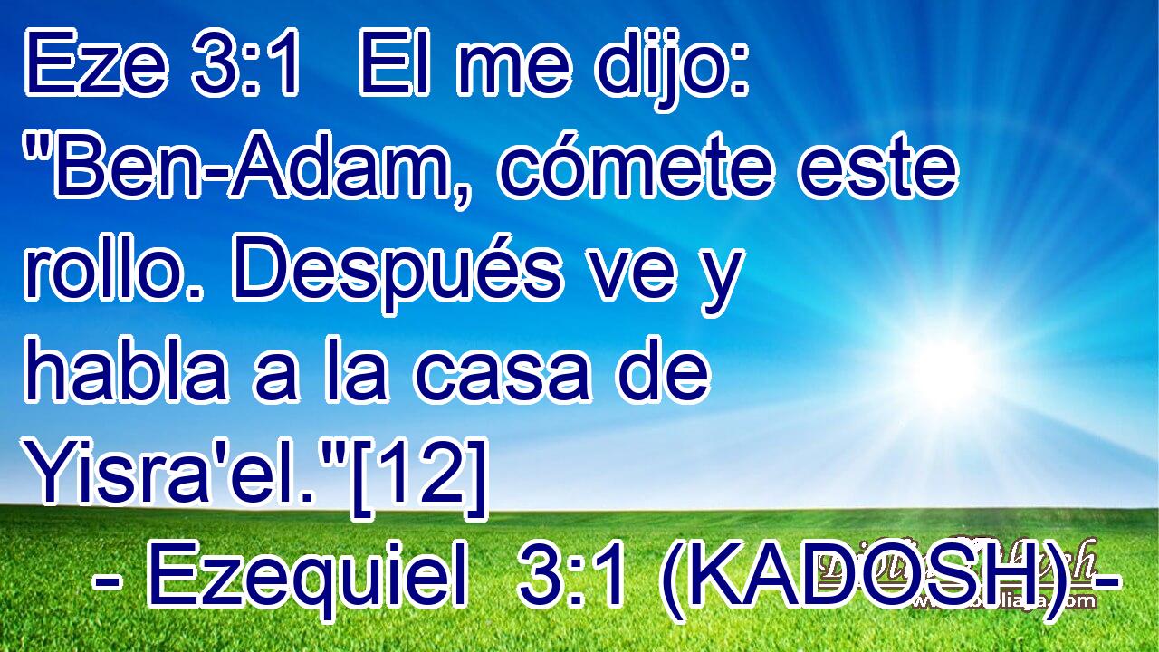  El me dijo: 
