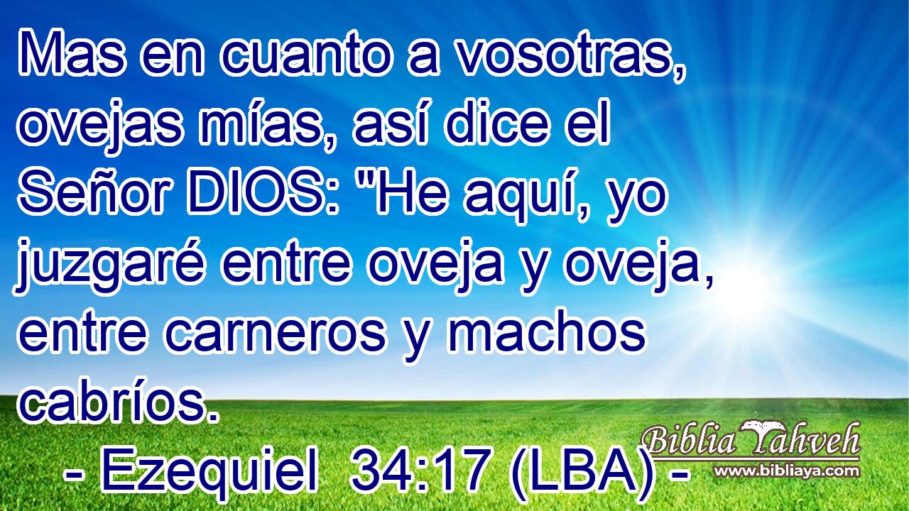 Mas en cuanto a vosotras, ovejas mías, así dice el Señor DIOS: 