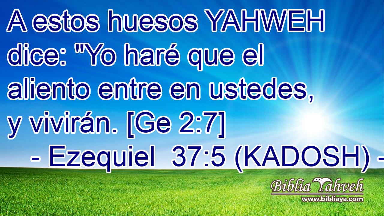  A estos huesos YAHWEH dice: 