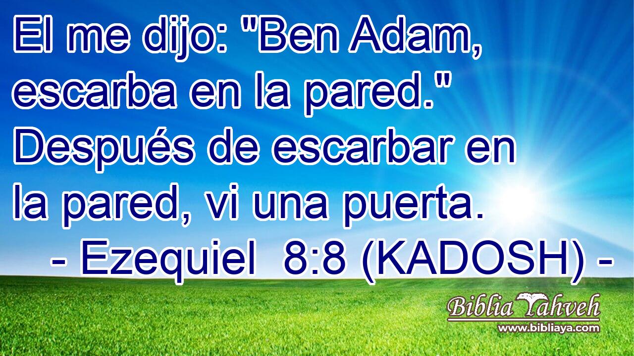  El me dijo: 