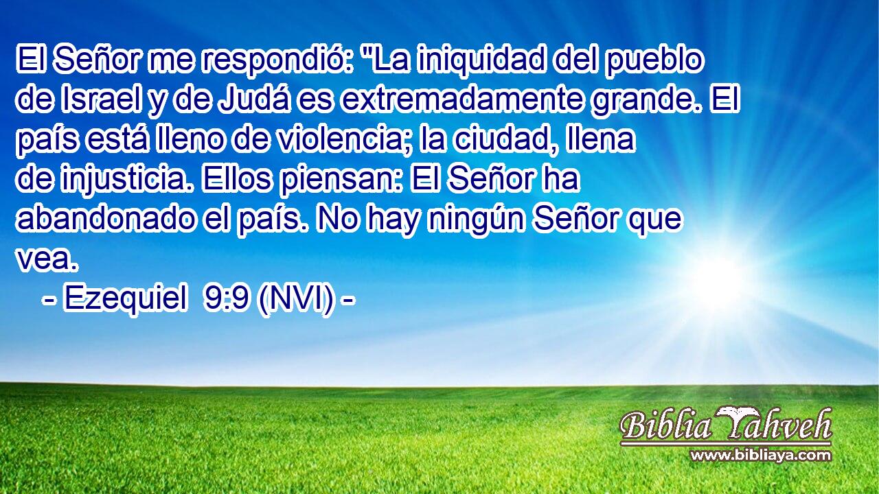  El Señor me respondió: 