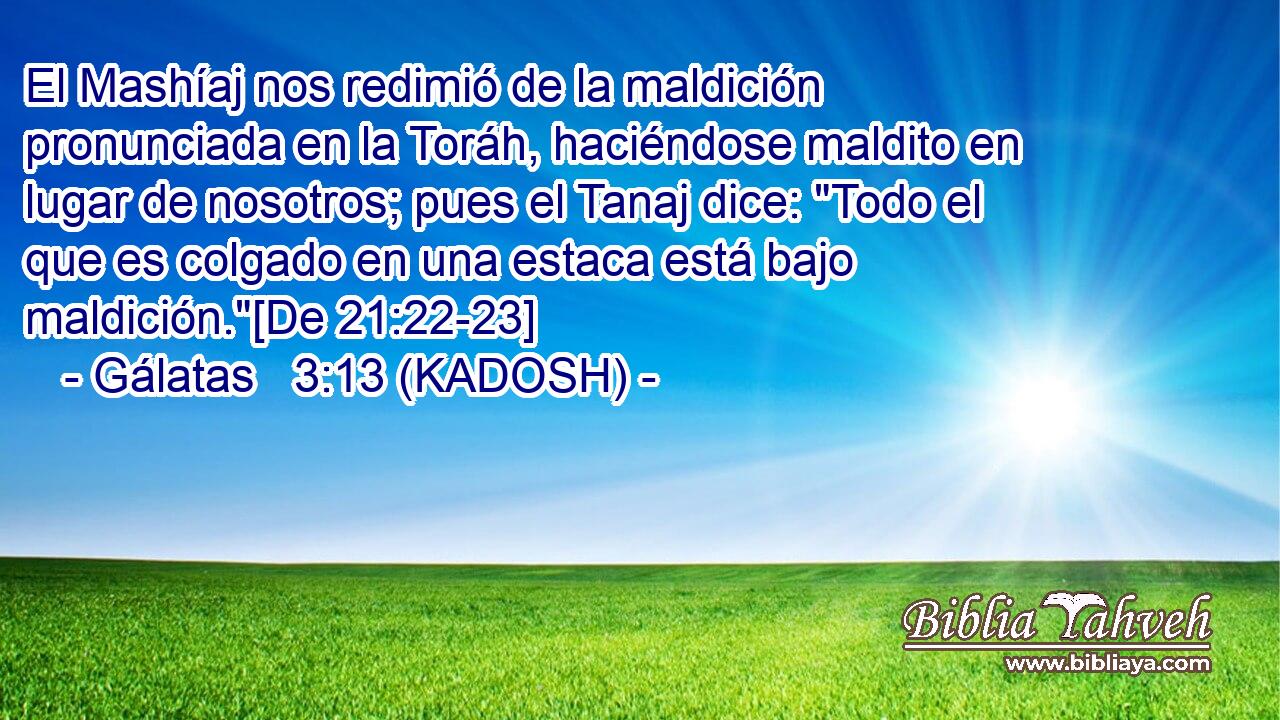  El Mashíaj nos redimió de la maldición pronunciada en la Toráh, haciéndose maldito en lugar de nosotros; pues el Tanaj dice: 