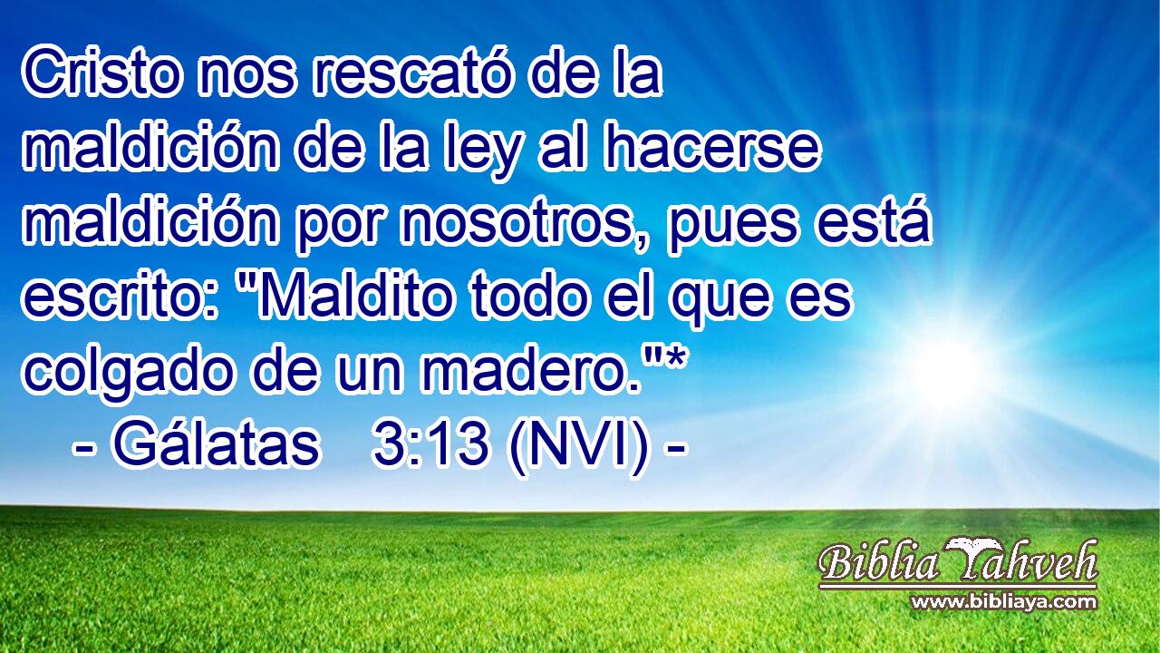  Cristo nos rescató de la maldición de la ley al hacerse maldición por nosotros, pues está escrito: 
