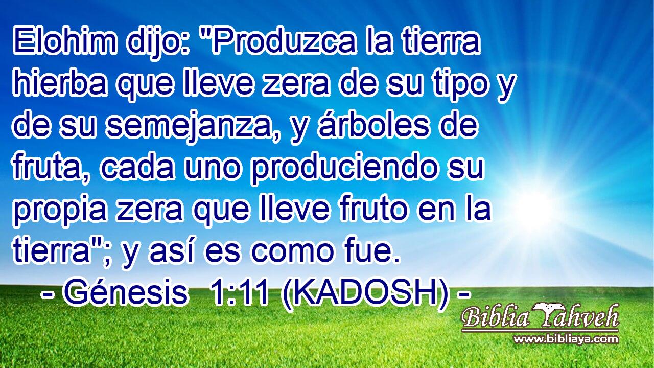  Elohim dijo: 