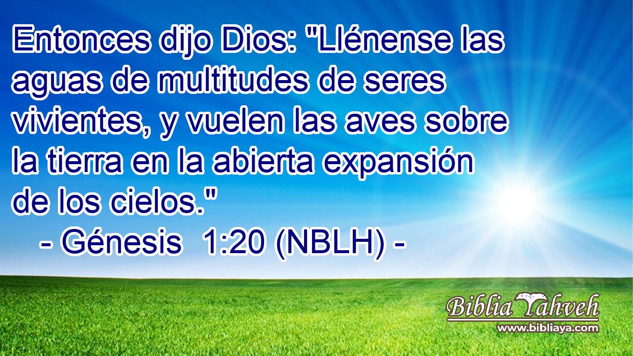  Entonces dijo Dios: 