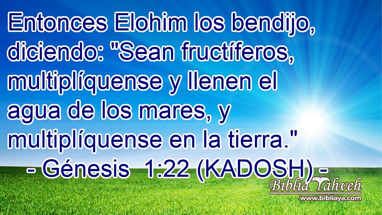  Entonces Elohim los bendijo, diciendo: 