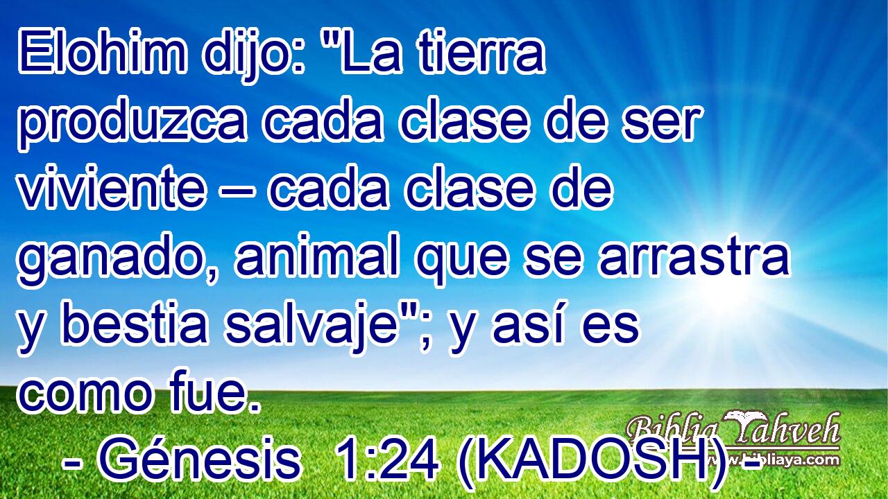  Elohim dijo: 