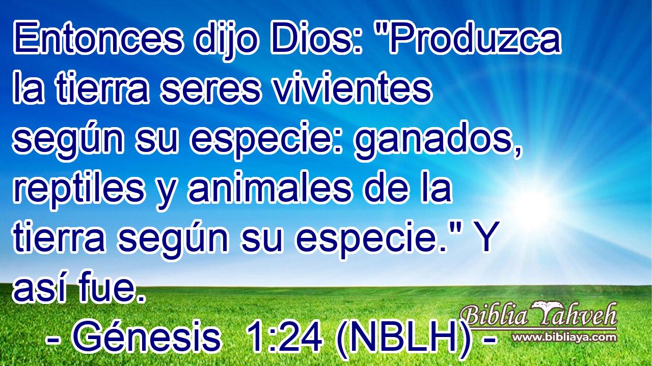  Entonces dijo Dios: 