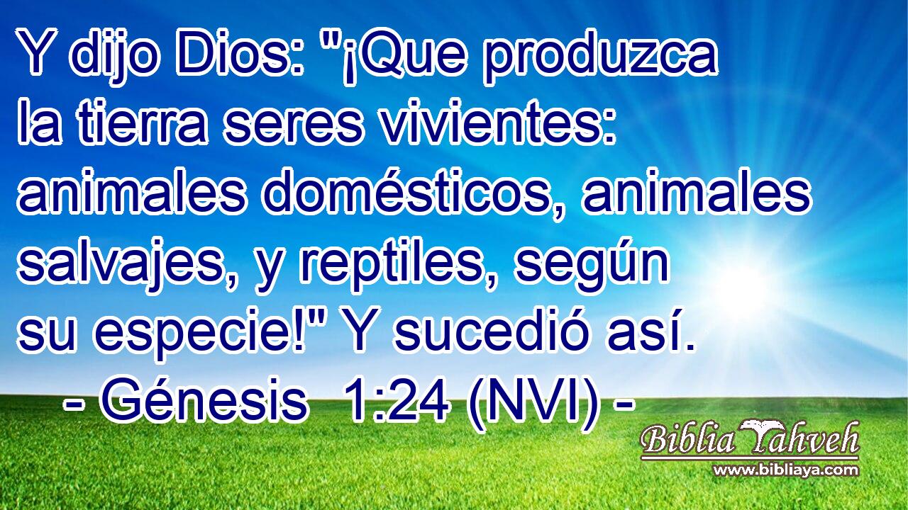  Y dijo Dios: 