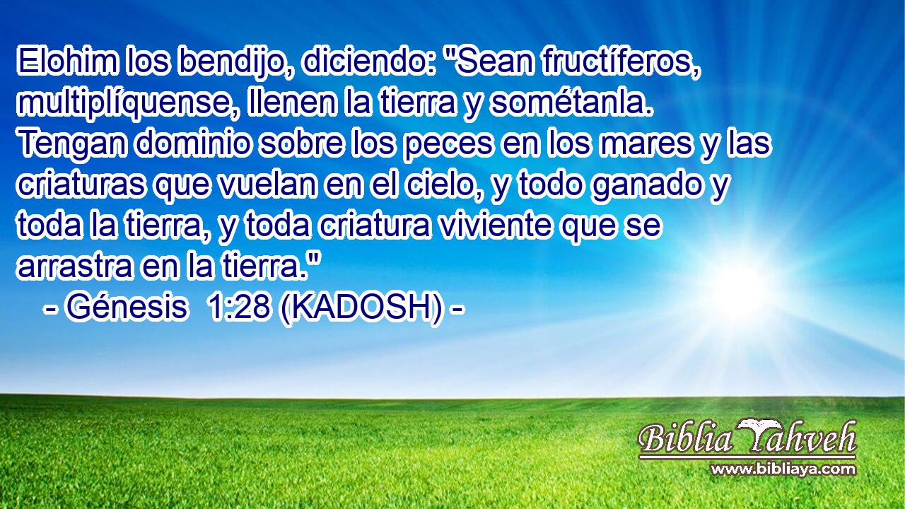  Elohim los bendijo, diciendo: 