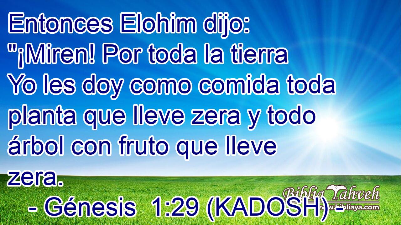  Entonces Elohim dijo: 