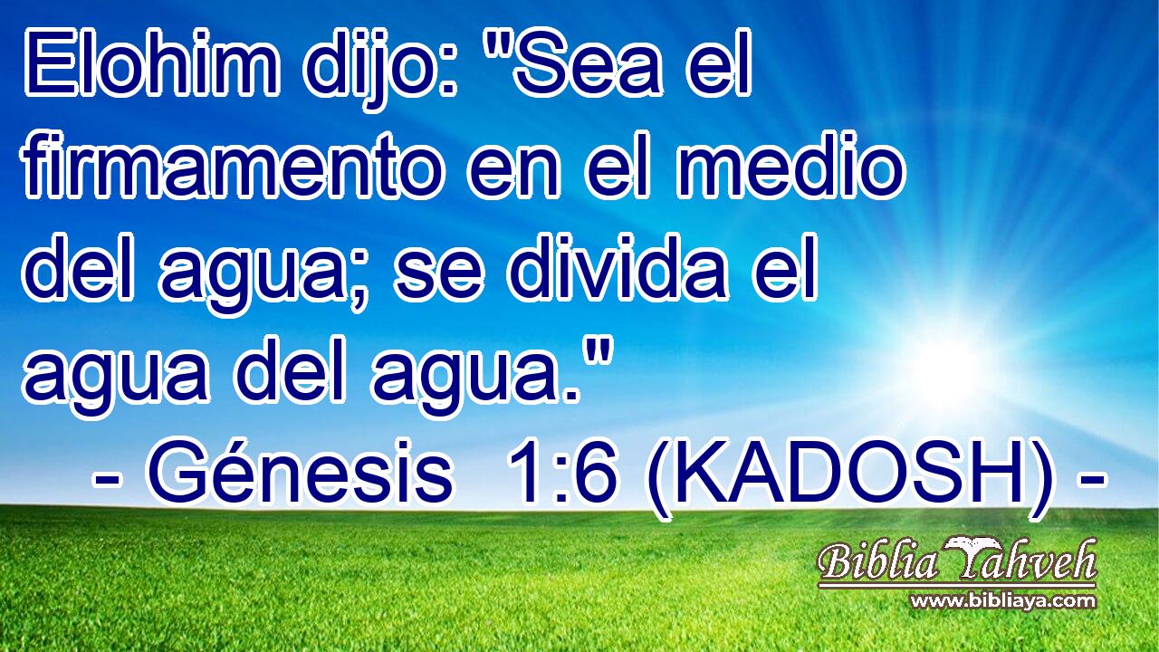  Elohim dijo: 