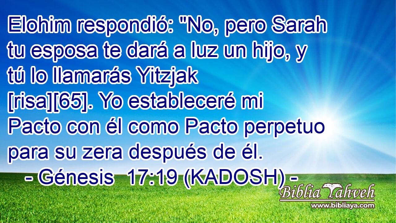 Elohim respondió: 