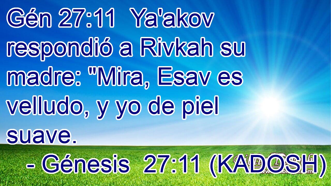  Ya'akov respondió a Rivkah su madre: 