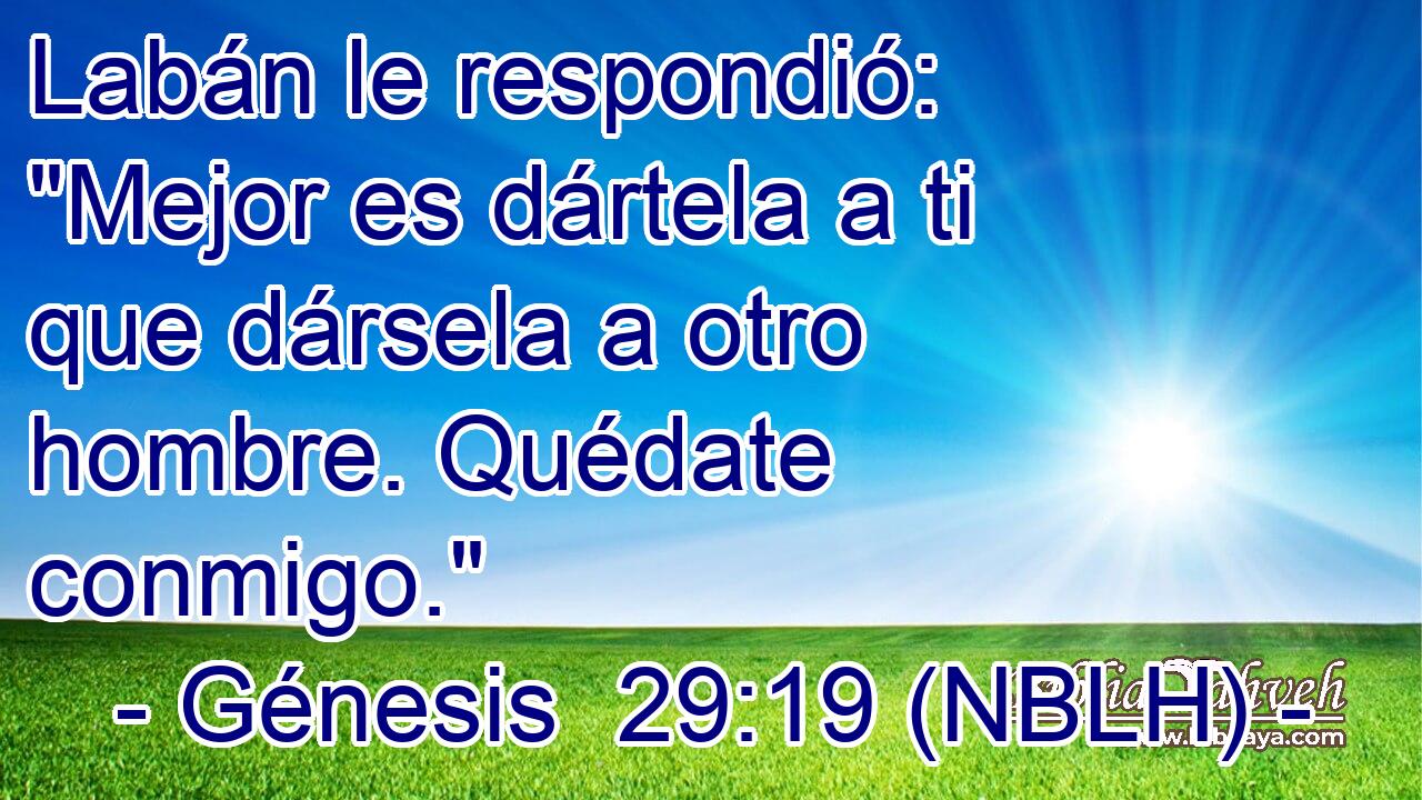  Labán le respondió: 