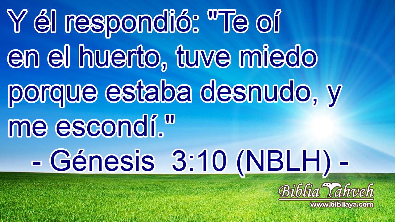  Y él respondió: 