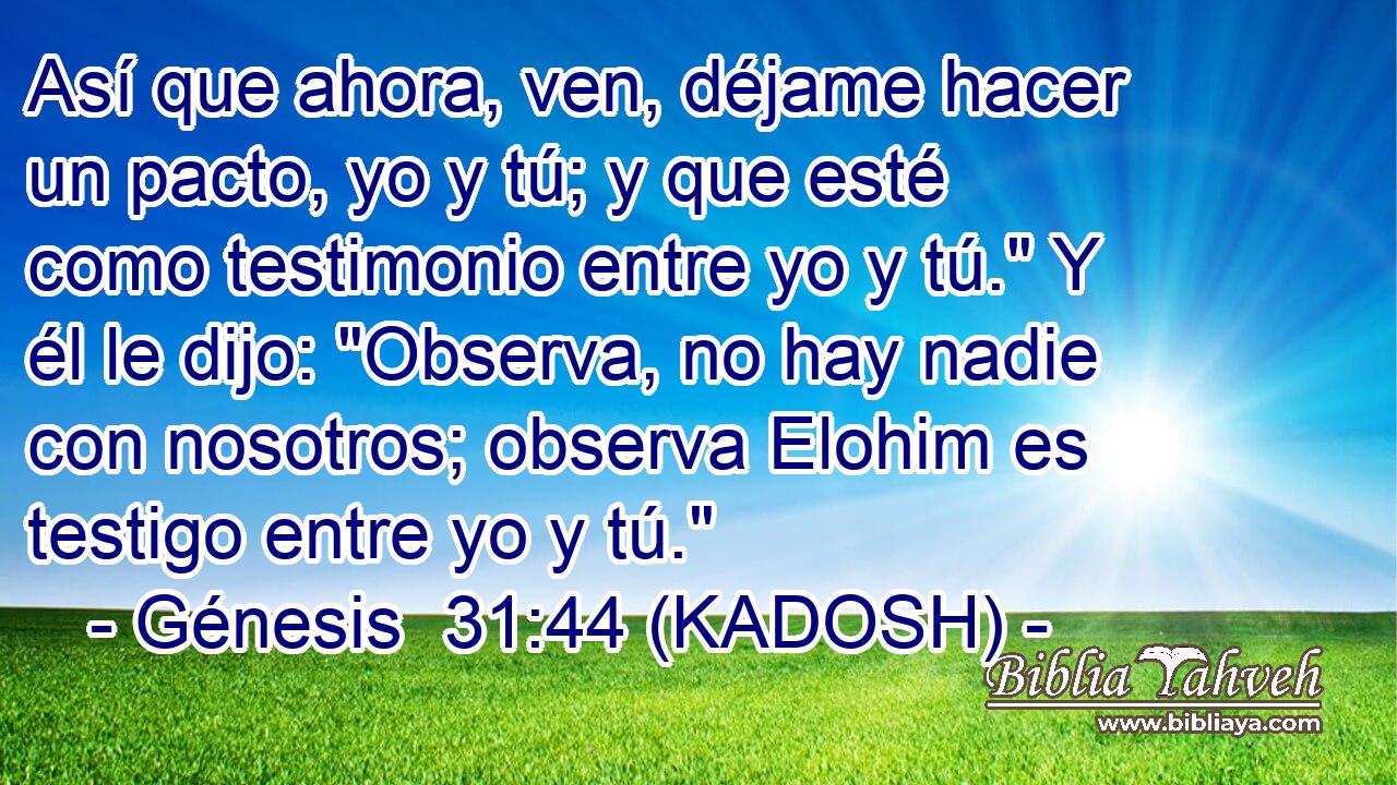  Así que ahora, ven, déjame hacer un pacto, yo y tú; y que esté como testimonio entre yo y tú.